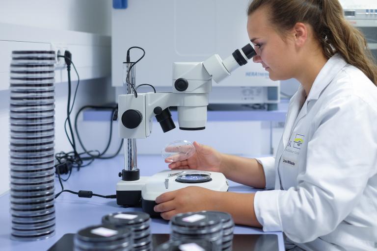 Artikel im Wirtschaftsreport zum Thema „Diversifizierung“